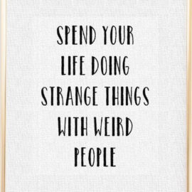 Life Goals, a cross stitch sampler with some good advice: Spend your life doing strange things with weird people. From Grimalkin Crossing.