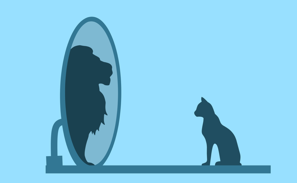 Stitching makes you better at everything! This silhouette image shows a domestic house cat seated on the left. ON the right, a mirror reflects the silhouette of a lion. From Grimalkin Crossing
