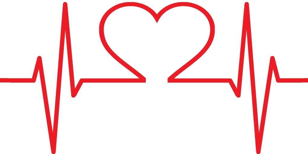 Grimalkin Crossing's medical disclaimer page. This is an image of an EKG line making a red heart in the middle.